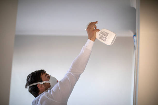 Best DIY Mold Remediation Support Services in Ashburn, VA