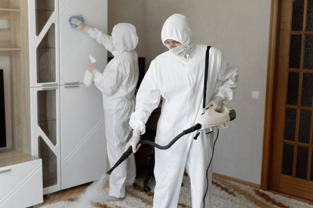 Best Post-Flood Mold Remediation in Ashburn, VA