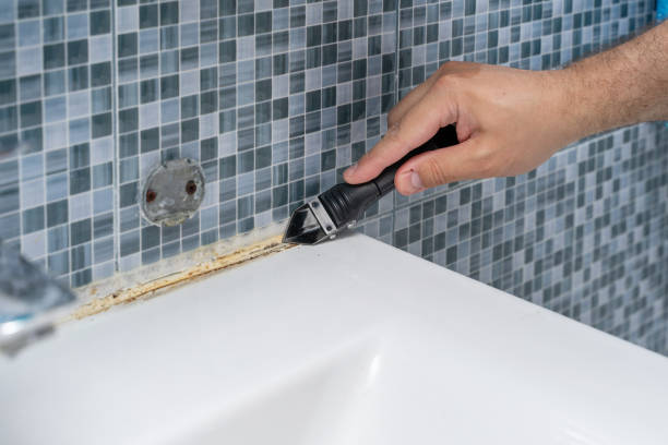 Trusted Ashburn, VA Mold Remediation Experts