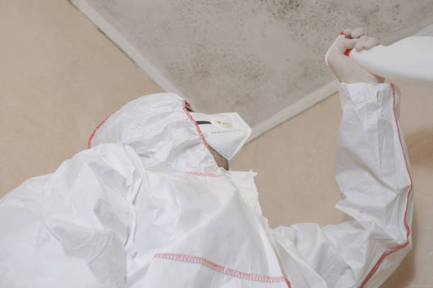 Best Mold Remediation for Specific Building Types in Ashburn, VA