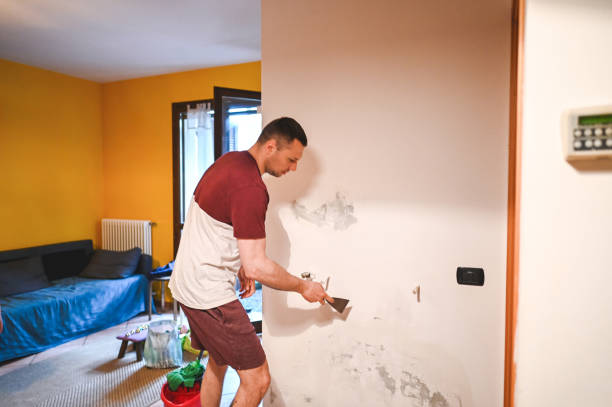 Best Mold Testing and Inspection Services in Ashburn, VA