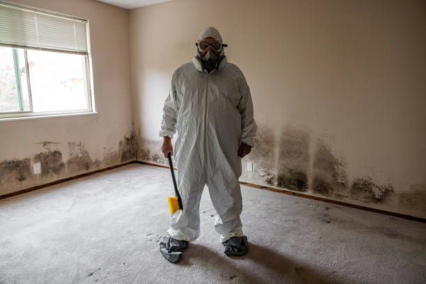 Best Mold Testing and Inspection Services in Ashburn, VA